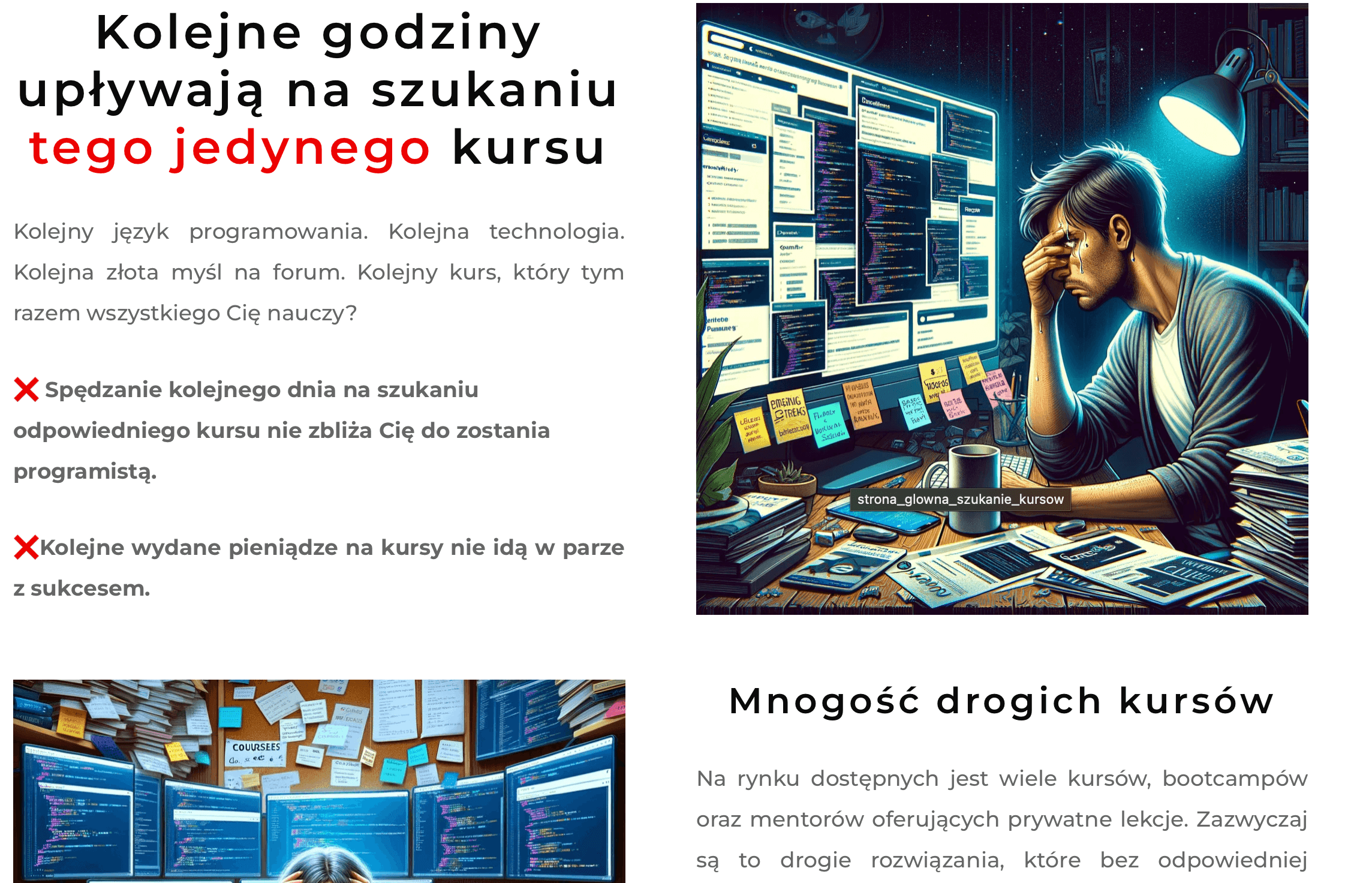 Screenshot from the new WordPress version of zostaneprogramista.pl – platform selling our IT career eBooks