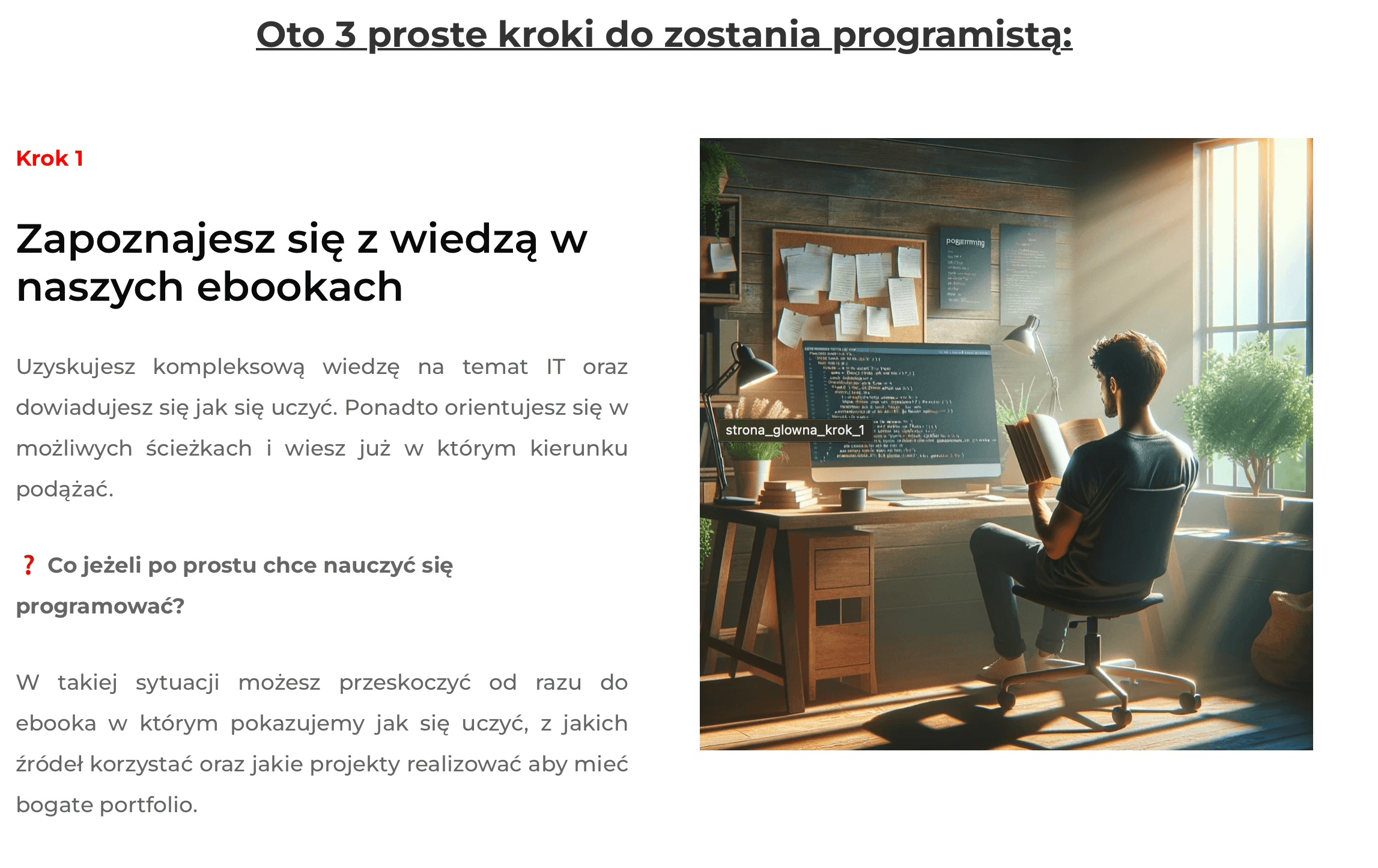 Screenshot from the new WordPress version of zostaneprogramista.pl – platform selling our IT career eBooks